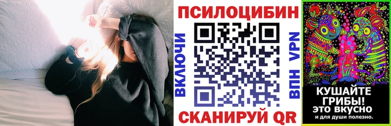 Псилоцибиновые грибы мухоморы  blacksprut зеркало  Петрозаводск 