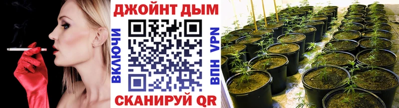 Конопля планчик  сколько стоит  Петрозаводск 